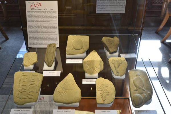 During the interval, visitors viewed the Library's exhibition of Beringer's Lying Stones, on loan from the Oxford University Museum of Natural History and the Natural History Museum